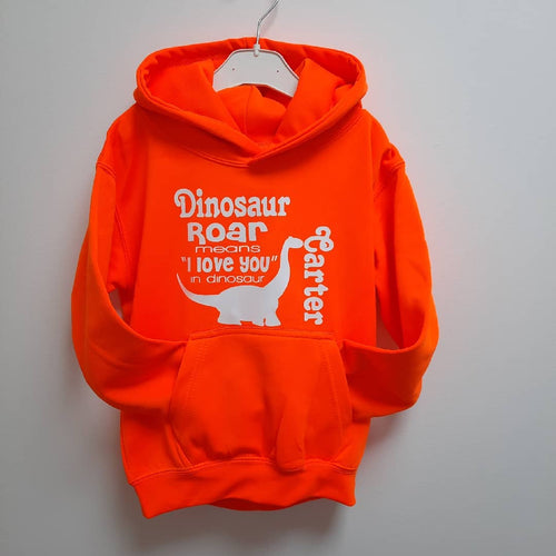 Dinosaur Hoodie